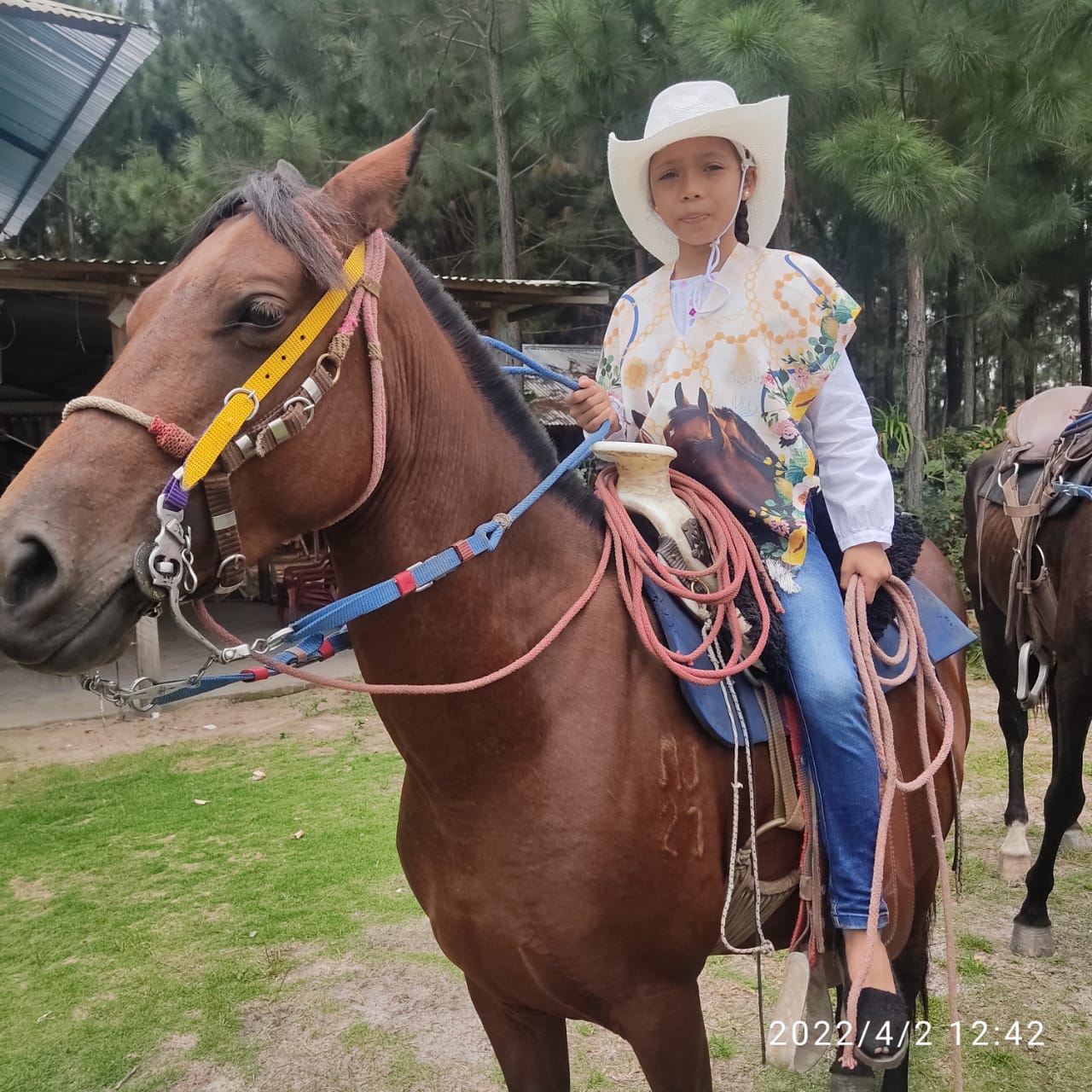 Cabalgatas