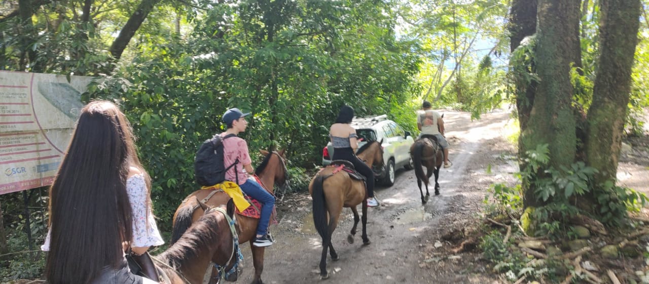 Disfruta de hermosos paisajes