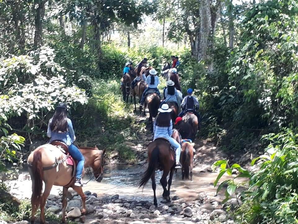 Ecoturismo
