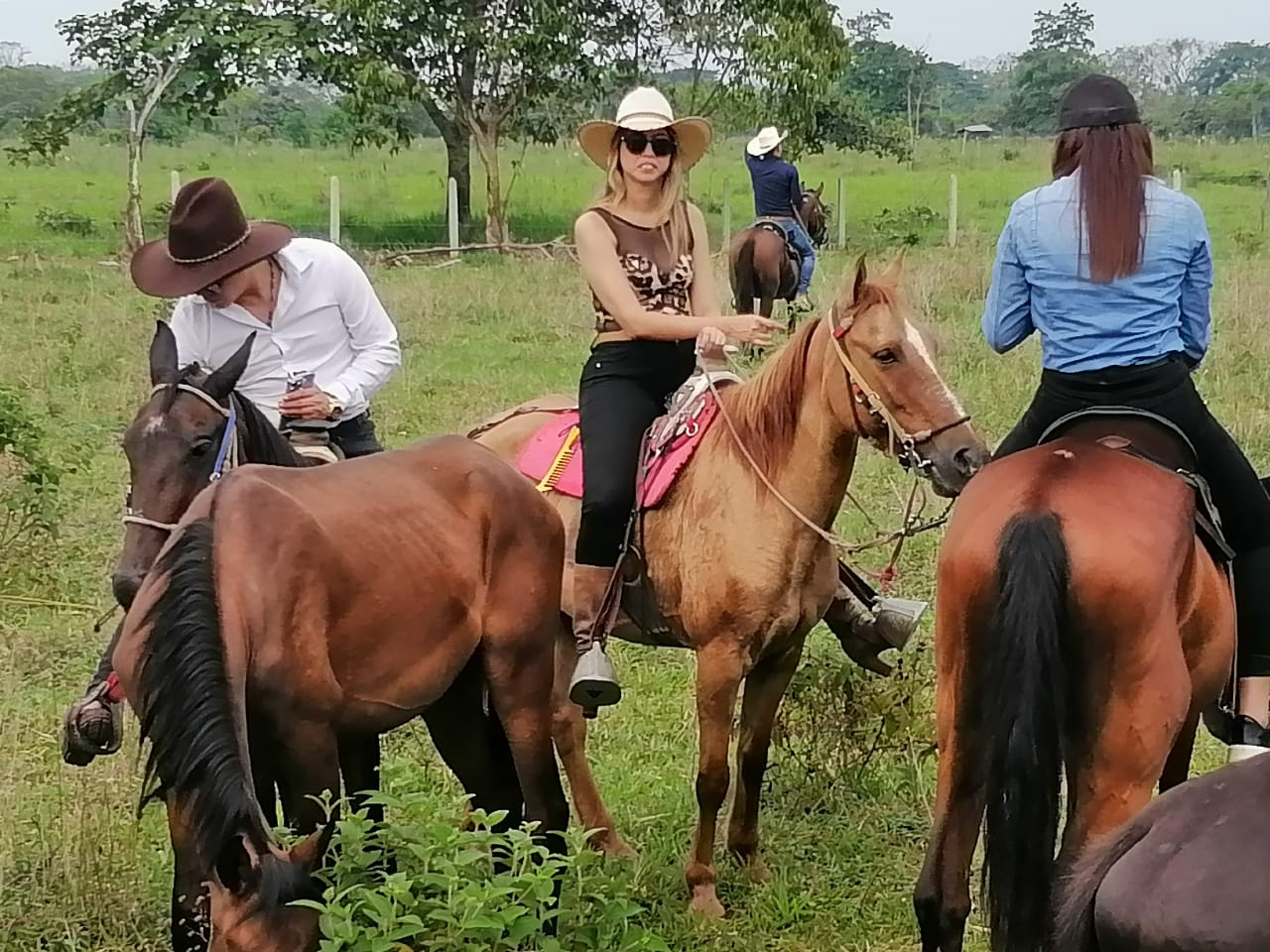 Recorridos